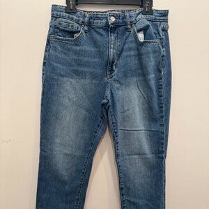 EUC Joe's Jeans Paula Straight Leg Sz. 31